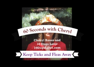 60 Seconds with Cheryl: Repel Ticks and Fleas from Your Dog: Cheryl Bauer and 10 Dogs Later